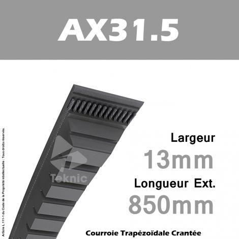 Courroie AX31.5 - Continental