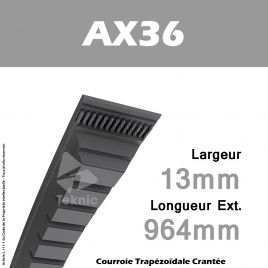 Courroie AX36 - Continental