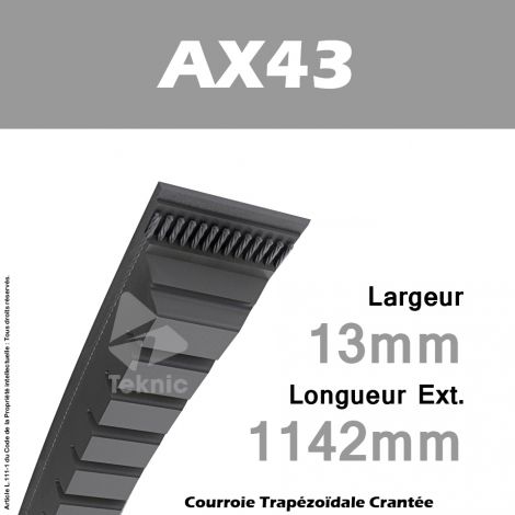 Courroie AX43 - Continental