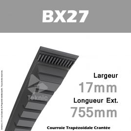 Courroie BX27 - Continental