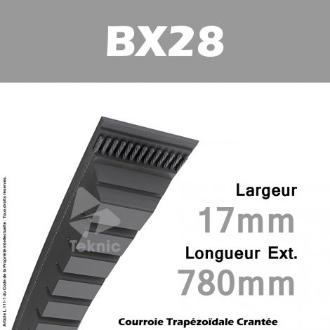 Courroie BX28 - Continental