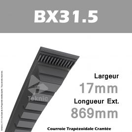 Courroie BX31.5