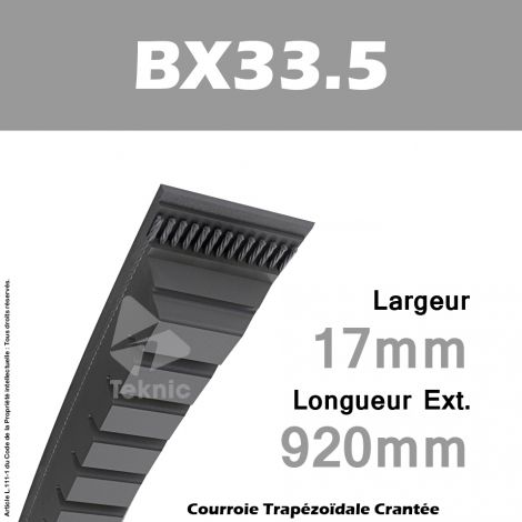 Courroie BX33.5 - Continental