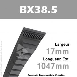 Courroie BX38.5 - Continental