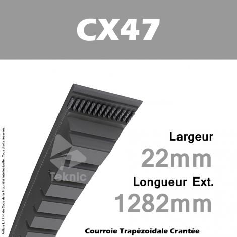 Courroie CX047 - Continental