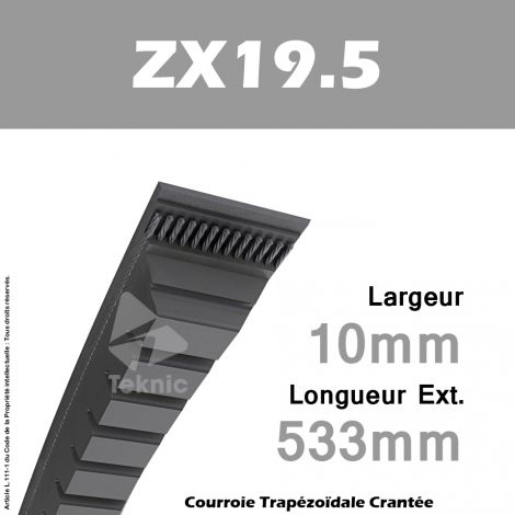 Courroie ZX19.5 - Continental