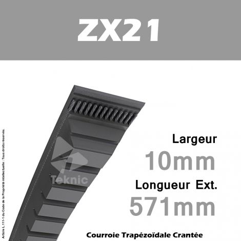 Courroie ZX21 - Continental