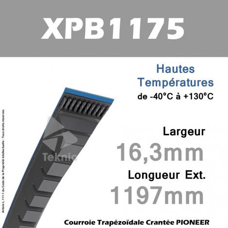 Courroie XPB1175 - Continental Pioneer