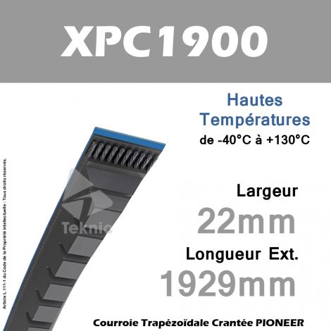 Courroie XPC1900 - Continental Pioneer