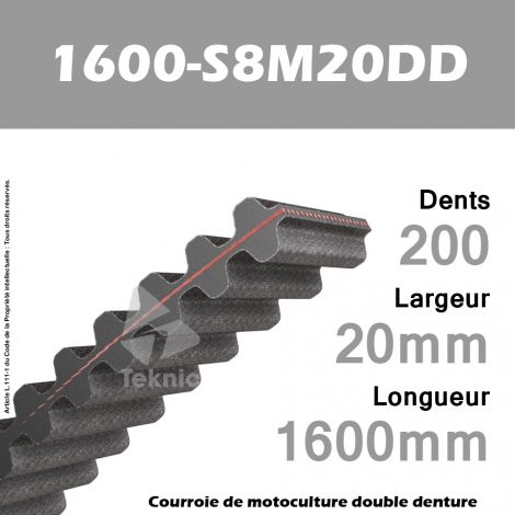 Courroie 1600-DS8M20 Double denture
