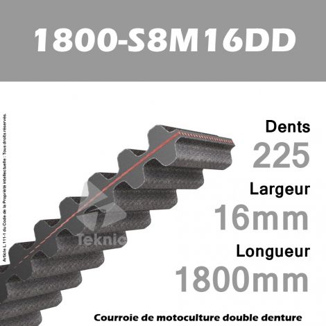 Courroie 1800-DS8M16 Double denture