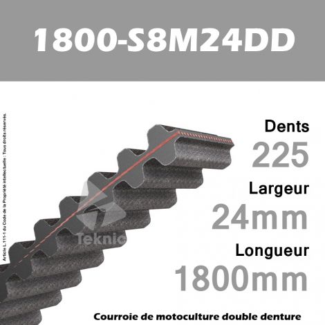 Courroie 1800-DS8M24 Double denture