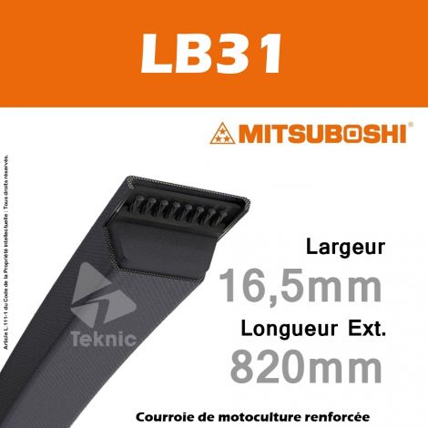 Courroie Mitsuboshi LB31