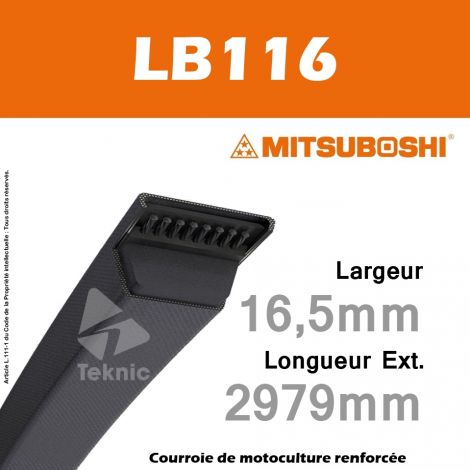 Courroie Mitsuboshi LB116