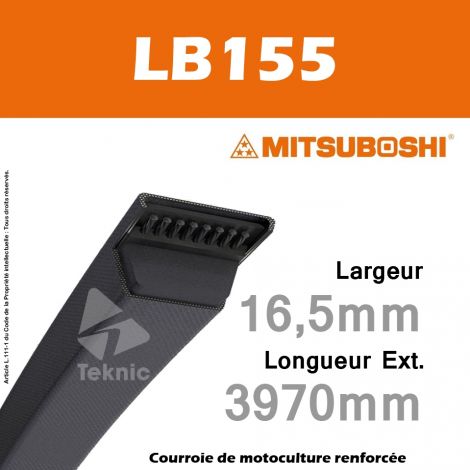 Courroie Mitsuboshi LB155