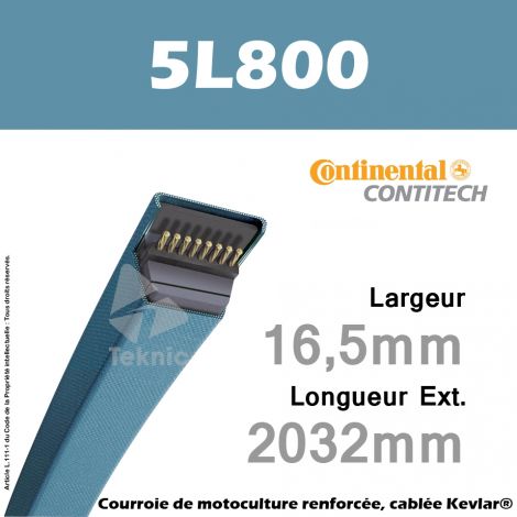 Courroie 5L800 - Continental