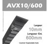 Courroie AVX10/0600 - Continental