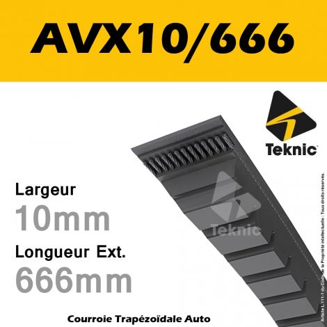 Courroie AVX10/0666 - Teknic