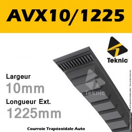 Courroie AVX10/1225 - Teknic