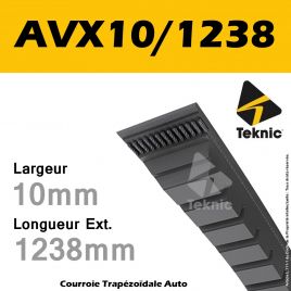 Courroie AVX10/1238 - Teknic