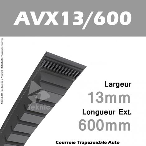 Courroie AVX13/600 - Continental