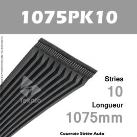 Courroie Poly-V Auto 1075PK10 - Continental