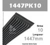 Courroie Poly-V Auto 1447PK10 - Continental