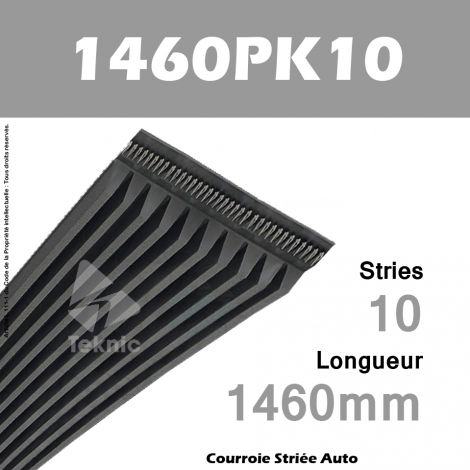 Courroie Poly-V Auto 1460PK10 - Continental