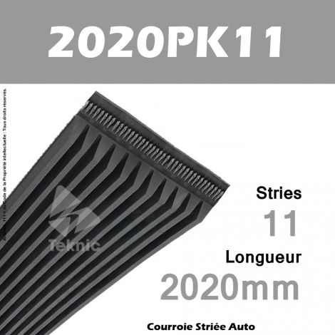 Courroie Poly-V Auto 2020PK11 - Continental