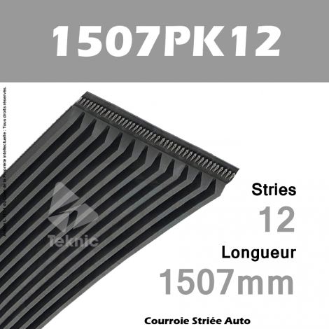 Courroie Poly-V Auto 1507PK12 - Continental