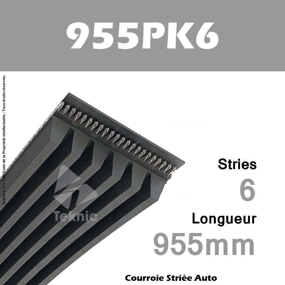 Contitech 6PK955 COURROIE STRIEE 
