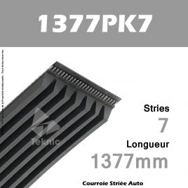 Courroie Poly-V Auto 1377PK7 - Continental