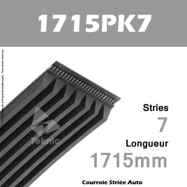 Courroie Poly-V Auto 1715PK7 - Continental