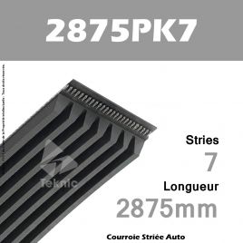 Courroie Poly-V Auto 2875PK7 - Continental