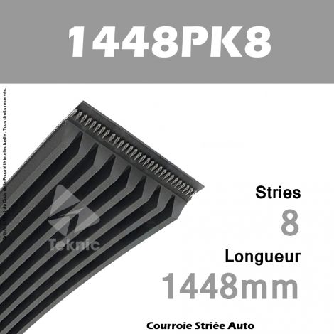 Courroie Poly-V Auto 1448PK8 - Continental