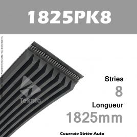 Courroie Poly-V Auto 1825PK8 - Continental