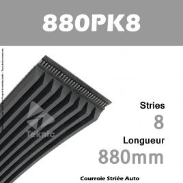 Courroie Poly-V Auto 880PK8 - Continental