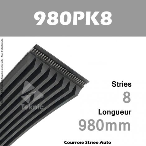 Courroie Poly-V Auto 980PK8 - Continental