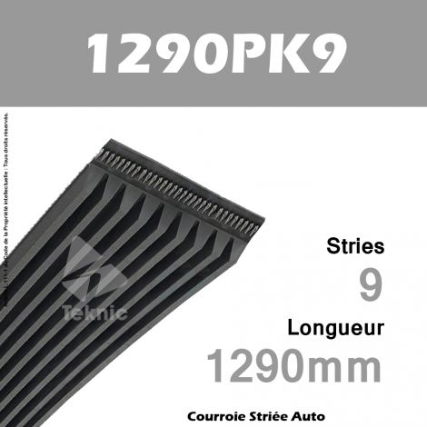 Courroie Poly-V Auto 1290PK9 - Continental