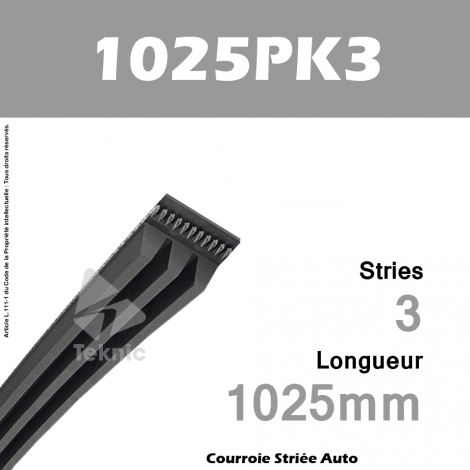 Courroie Poly-V Auto 1025PK3 - Continental