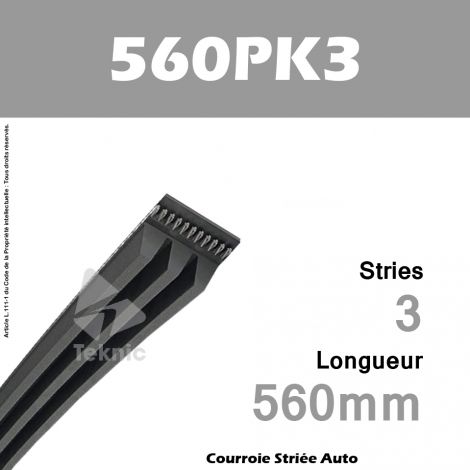 Courroie Poly-V Auto 560PK3 - Continental