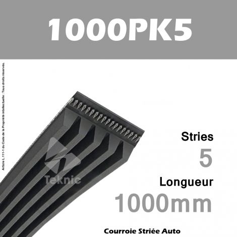 Courroie Poly-V Auto 1000PK5 - Continental