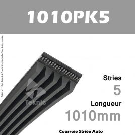 Courroie Poly-V Auto 1010PK5 - Continental