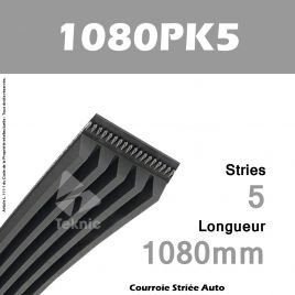 Courroie Poly-V Auto 1080PK5 - Continental