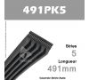 Courroie Poly-V Auto 491PK5 - Continental