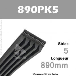 Courroie Poly-V Auto 890PK5 - Continental