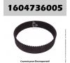 Courroie Bosch 1604736005 - PBS75, PBS75E, PHO100