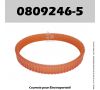 Courroie Elu 0809246-5 - MFF80 "Type 1"