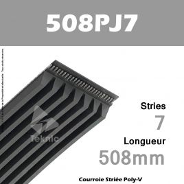 Courroie Poly-V 508PJ7