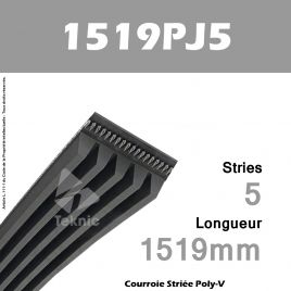 Courroie Poly-V 1519PJ5 - Continental